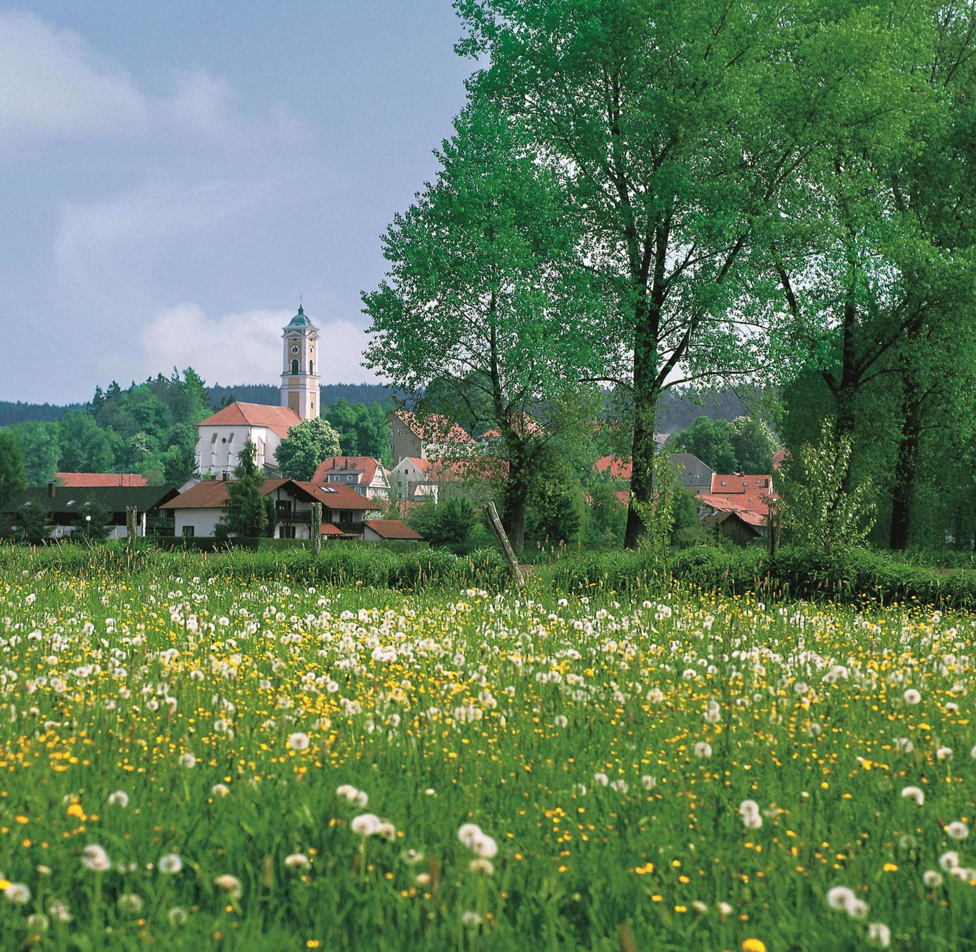 Best Western Aparthotel Birnbachhoehe Bad Birnbach Kültér fotó